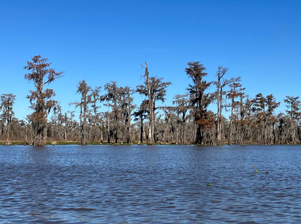 kayak scenery picture Atchafalaya, Belle River Boat Launch www.SawdustRiver.com