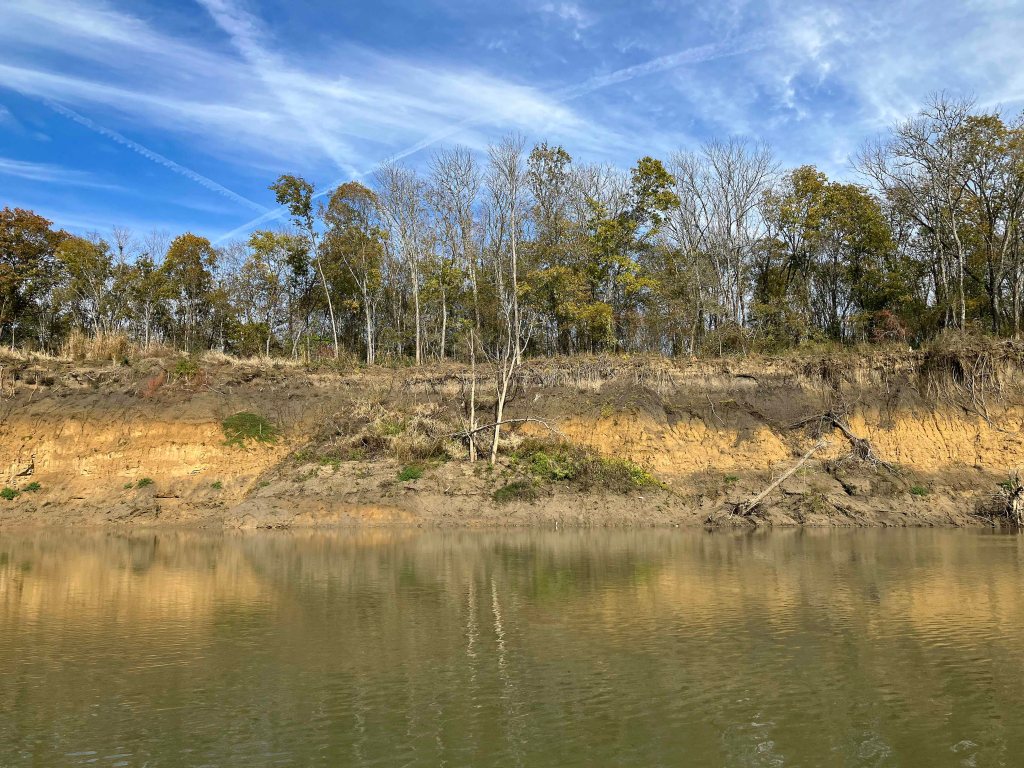 kayak scenery picture Trinity River, Highway 287 Ramp, Corsicana www.SawdustRiver.com