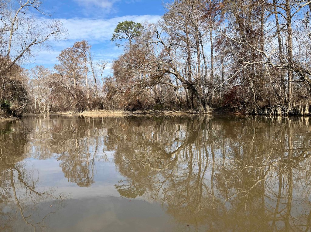 kayak scenery picture Tickfaw River, Tickfaw State Park, Louisiana www.SawdustRiver.com