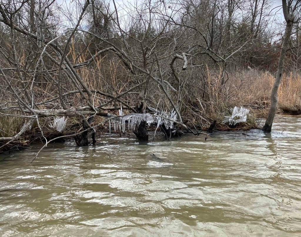kayak scenery picture Sardis Lake, Jackfork Creek, Oklahoma www.SawdustRiver.com