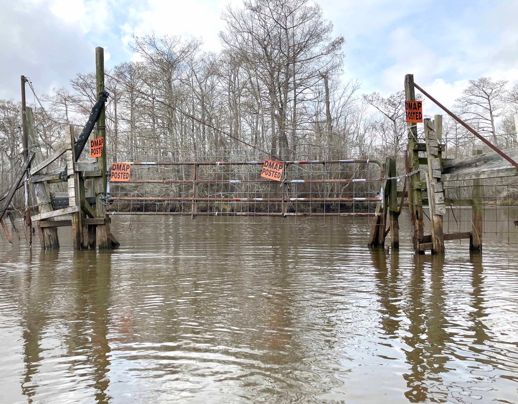 kayak scenery picture Atchafalaya, Lake Fausse Point, Grand Avoille Cove, Louisiana www.SawdustRiver.com