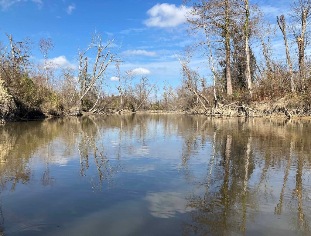 kayak scenery picture Tickfaw River, Tickfaw State Park, Louisiana www.SawdustRiver.com