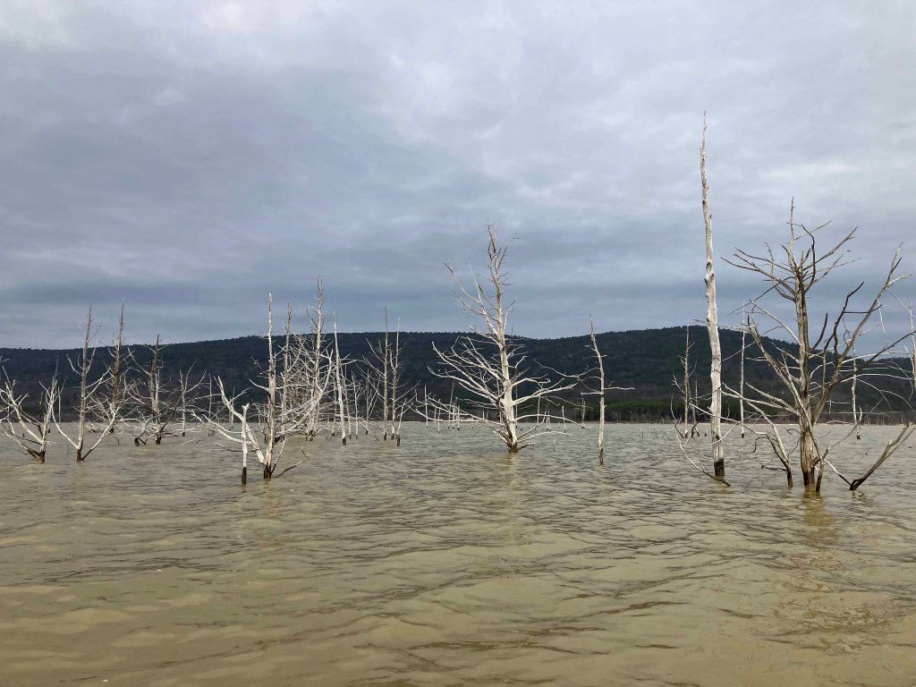 kayak scenery picture Sardis Lake, Jackfork Creek, Oklahoma www.SawdustRiver.com