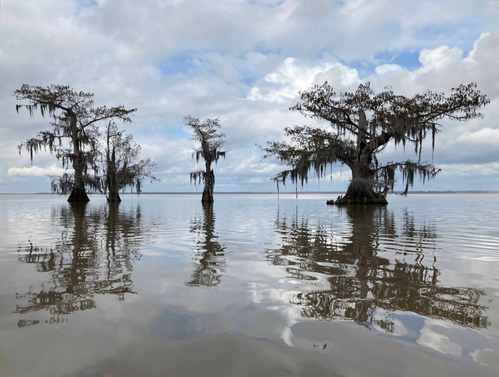 kayak scenery picture Atchafalaya, Lake Fausse Point, Grand Avoille Cove, Louisiana www.SawdustRiver.com