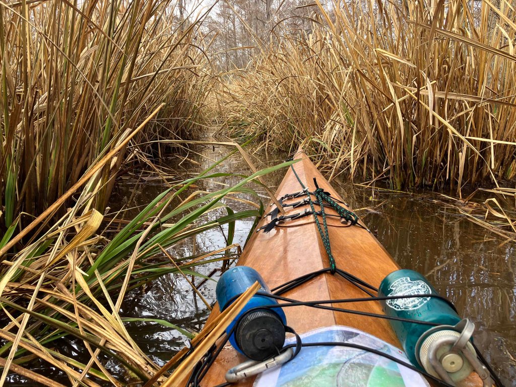 kayak scenery picture Maurepas Swamp WMA, Old US 51 Launch, Louisiana www.SawdustRiver.com