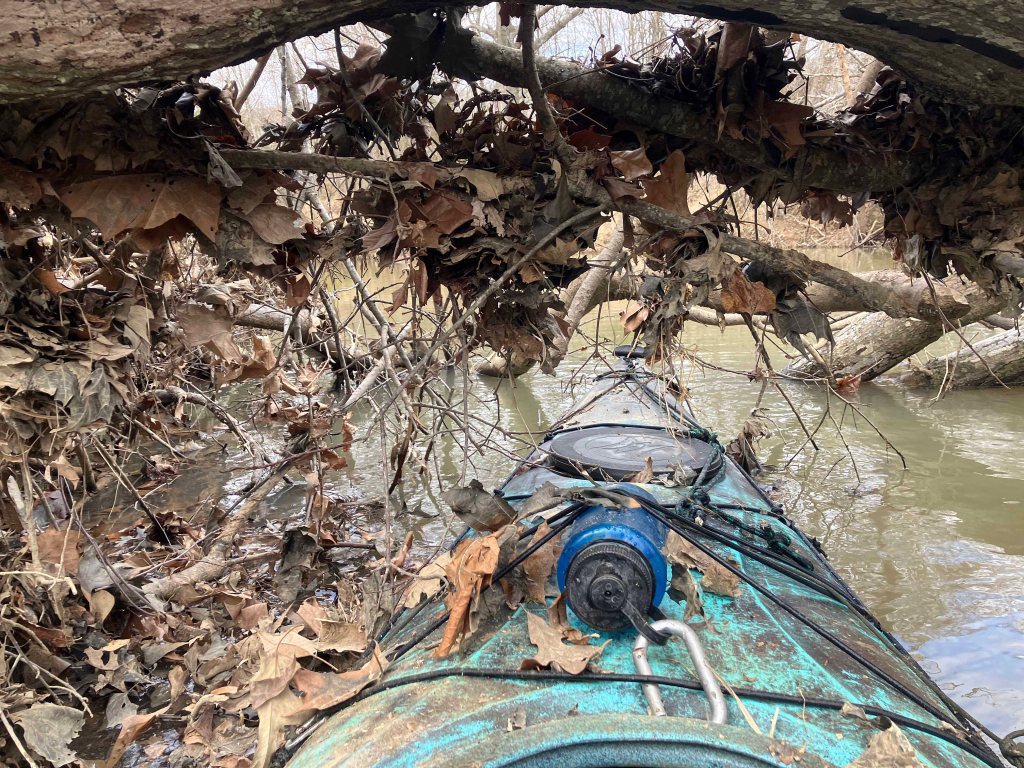 kayak scenery picture Sardis Lake, Jackfork Creek, Oklahoma www.SawdustRiver.com
