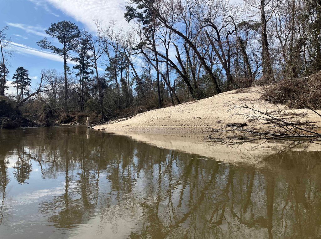 kayak scenery picture Tickfaw River, Tickfaw State Park, Louisiana www.SawdustRiver.com