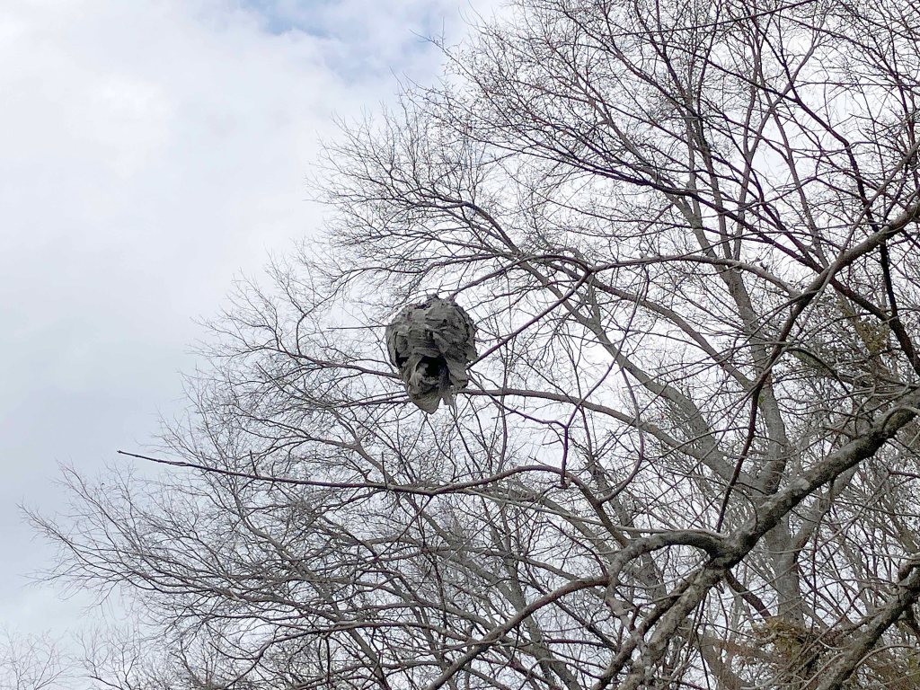 beehive kayak scenery picture Sardis Lake, Jackfork Creek, Oklahoma www.SawdustRiver.com