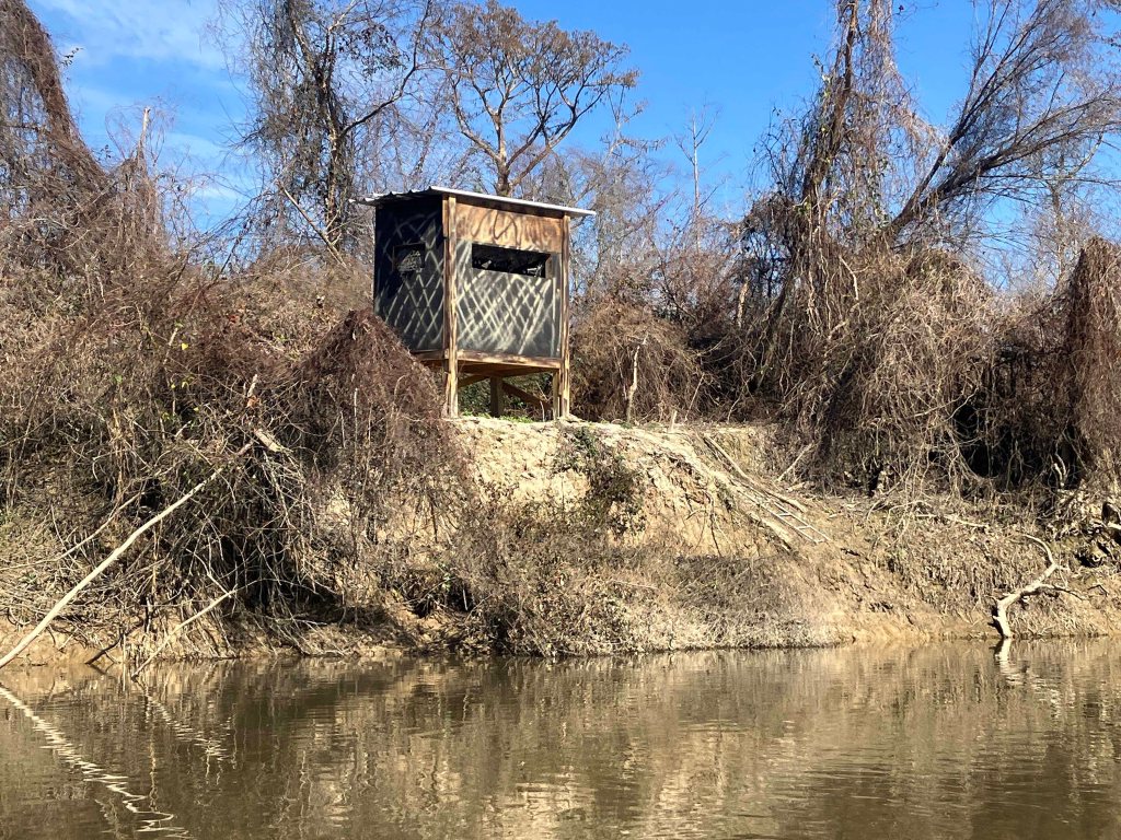 kayak scenery picture Tickfaw River, Tickfaw State Park, Louisiana www.SawdustRiver.com