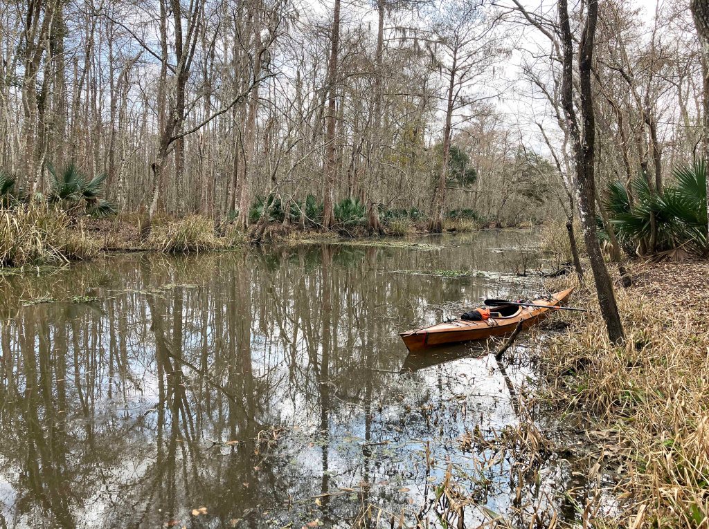 kayak scenery picture Atchafalaya, Lake Fausse Point, Grand Avoille Cove, Louisiana www.SawdustRiver.com