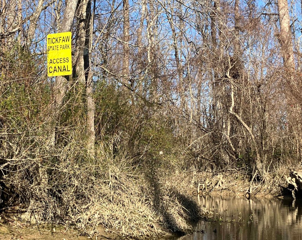 kayak scenery picture Tickfaw River, Tickfaw State Park, Louisiana www.SawdustRiver.com