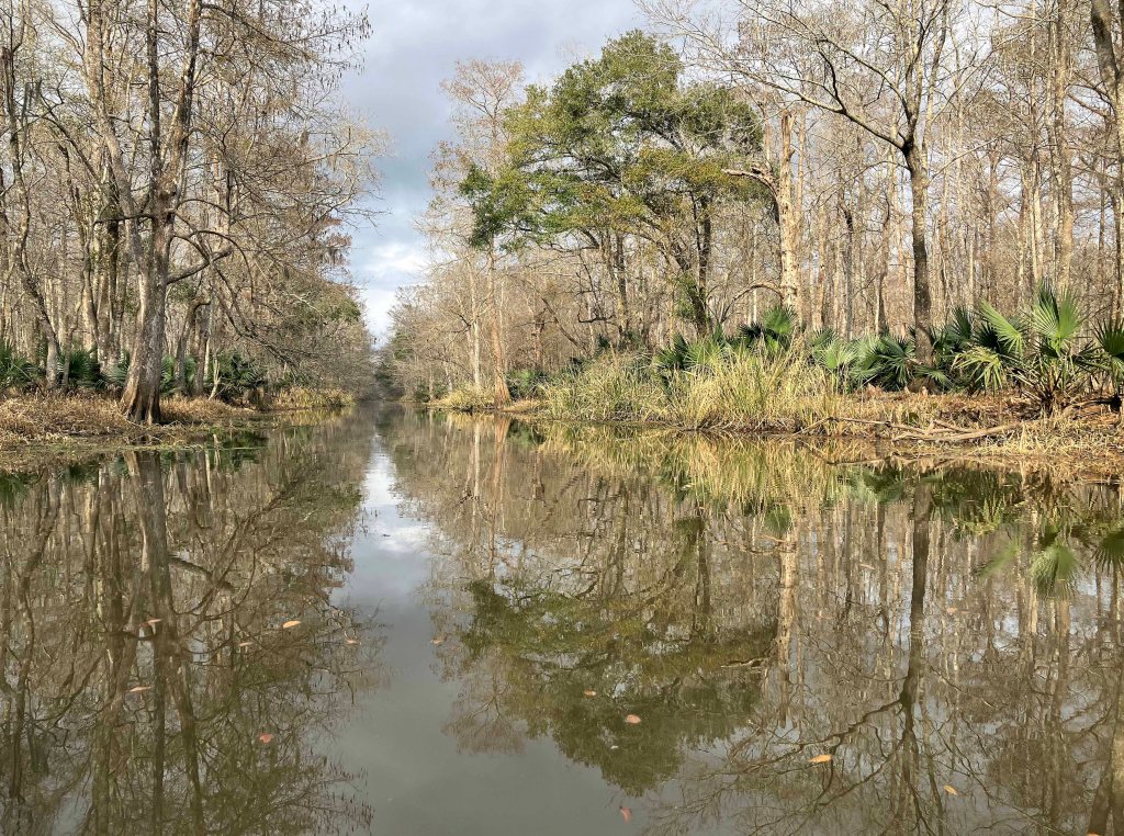 kayak scenery picture Atchafalaya, Lake Fausse Point, Grand Avoille Cove, Louisiana www.SawdustRiver.com