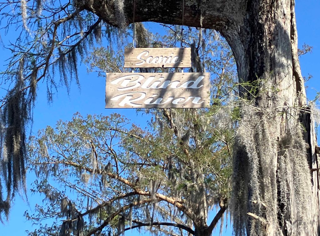 kayak scenery picture Blind River, Maurepas Swamp WMA, St. James Boat Club Launch www.SawdustRiver.com