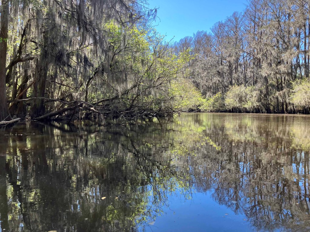 kayak scenery picture Caddo, Uncertain, 805 WMA Launch www.SawdustRiver.com