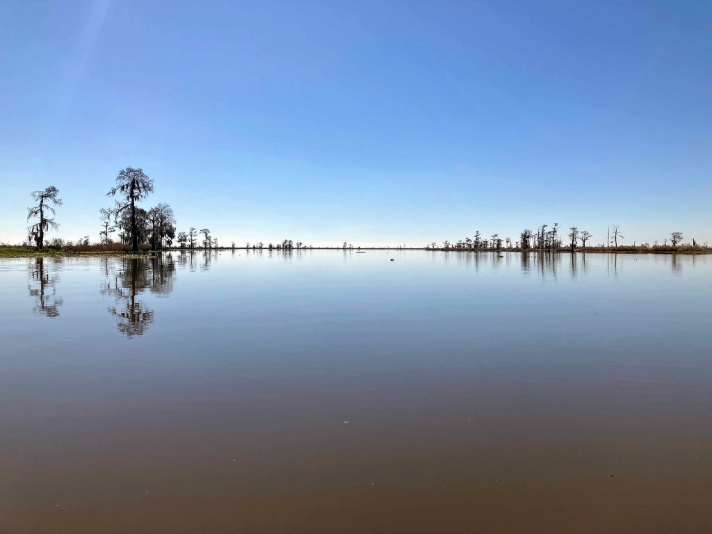 kayak scenery picture Joyce WMA, Akers Launch, North Pass, Old US51, Louisiana www.SawdustRiver.com