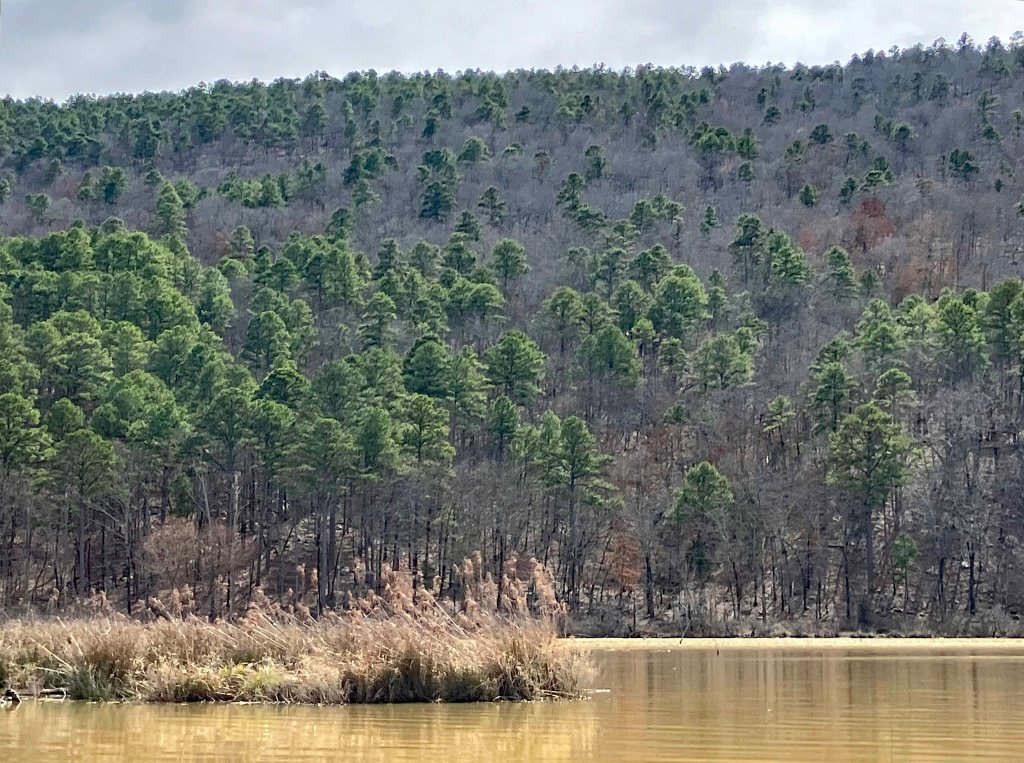 kayak scenery picture Sardis Lake, North Jackfork Creek, Oklahoma www.SawdustRiver.com
