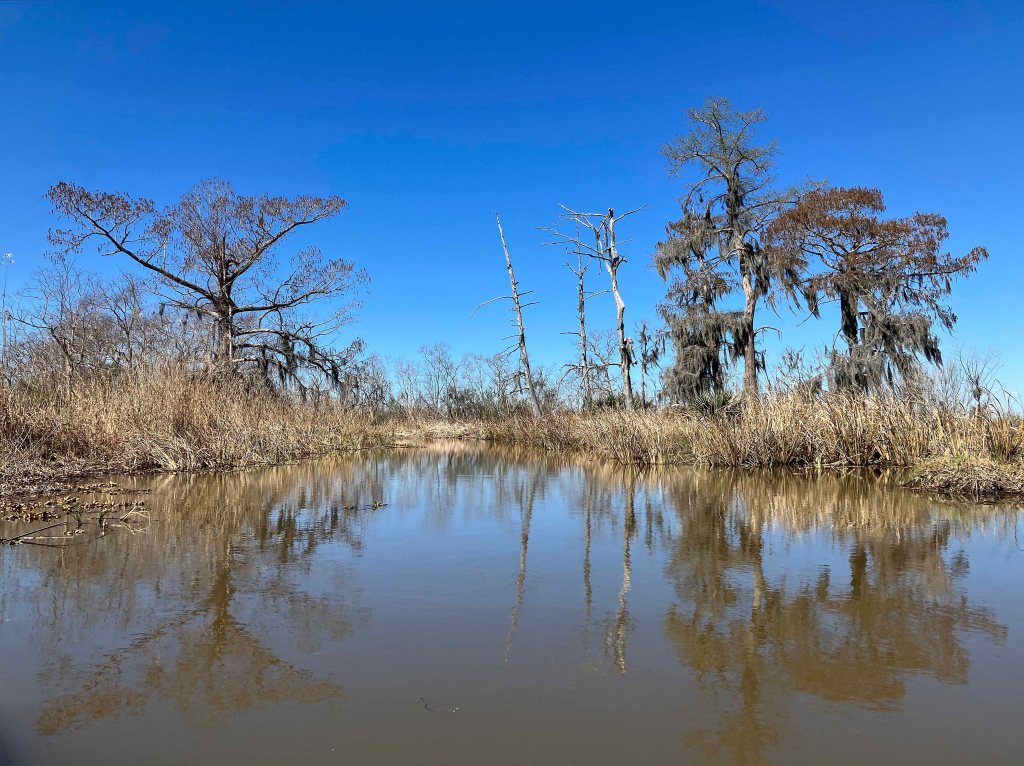 kayak scenery picture Manchac WMA, Galva Canal, Lake Maurepas, Old US51 www.SawdustRiver.com