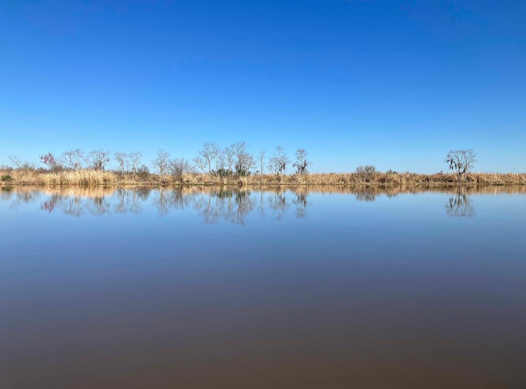 kayak scenery picture Joyce WMA, Akers Launch, North Pass, Old US51, Louisiana www.SawdustRiver.com