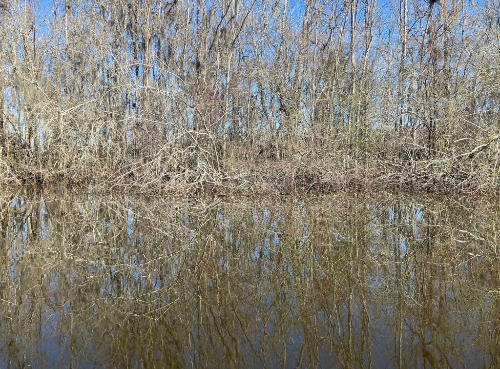 kayak scenery picture Atchafalaya, Two O-Clock Bayou, Hwy 190, LA www.SawdustRiver.com