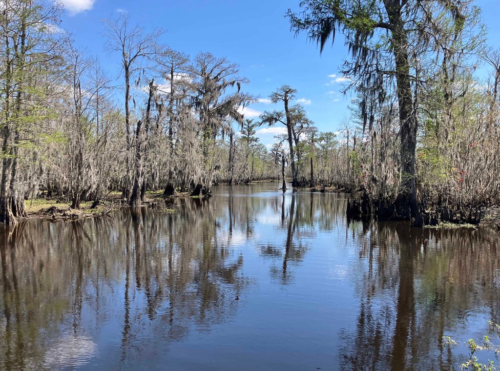 kayak scenery picture Blind River, Maurepas Swamp WMA, St. James Boat Club Launch www.SawdustRiver.com