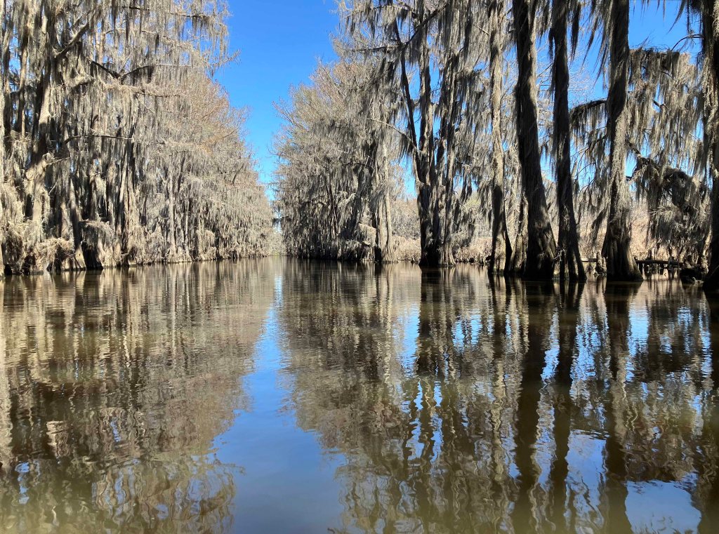 kayak scenery picture Caddo, Uncertain, 805 WMA Launch www.SawdustRiver.com