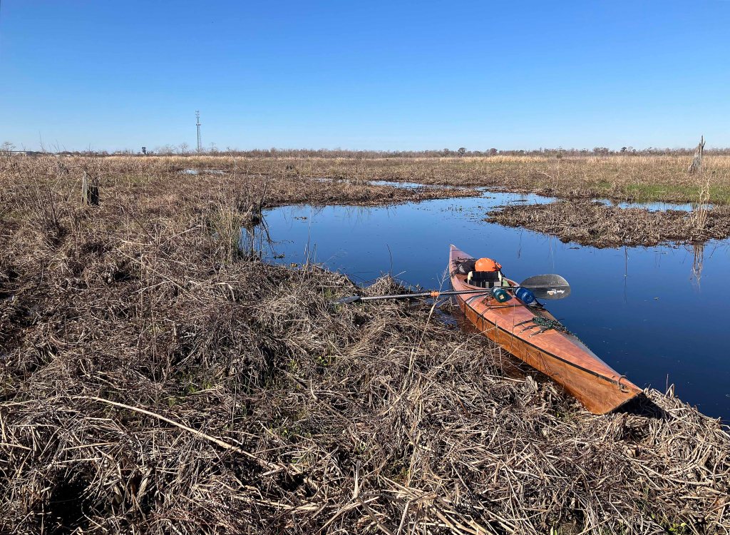 kayak scenery picture Joyce WMA, Akers Launch, North Pass, Old US51, Louisiana www.SawdustRiver.com
