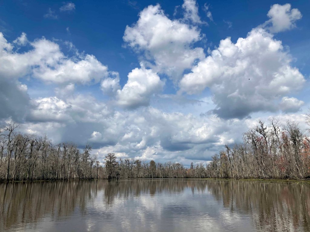 kayak scenery picture Blind River, Maurepas Swamp WMA, St. James Boat Club, Louisiana www.SawdustRiver.com
