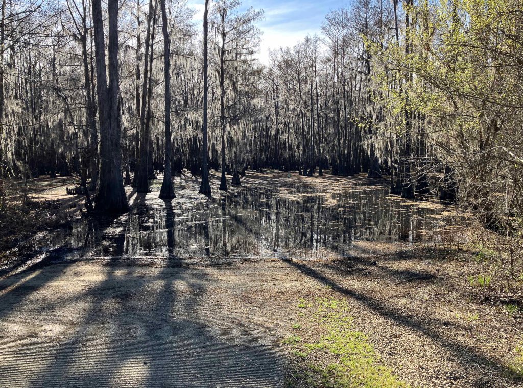 kayak scenery picture Caddo, Uncertain, 805 WMA Launch www.SawdustRiver.com