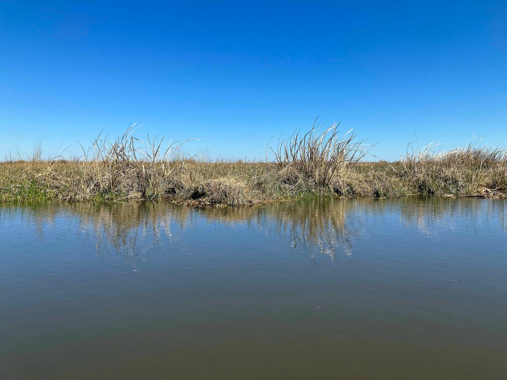 kayak scenery picture Manchac WMA, Galva Canal, Lake Maurepas, Old US51 www.SawdustRiver.com
