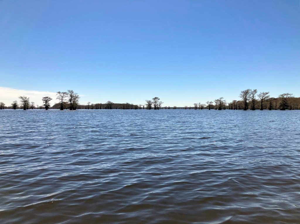 kayak scenery picture Caddo, Uncertain, 805 WMA Launch www.SawdustRiver.com