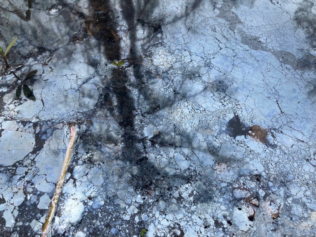 kayak scenery picture Caddo, Uncertain, 805 WMA Launch www.SawdustRiver.com