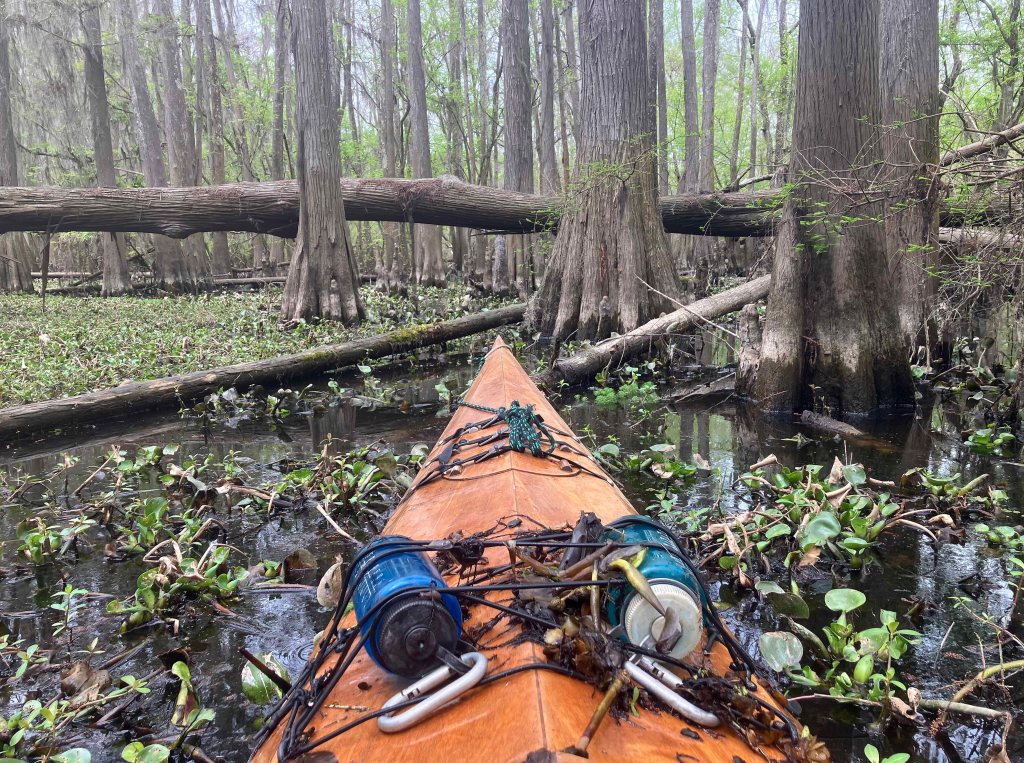 kayak scenery picture Caddo, Uncertain, 805 WMA Launch www.SawdustRiver.com