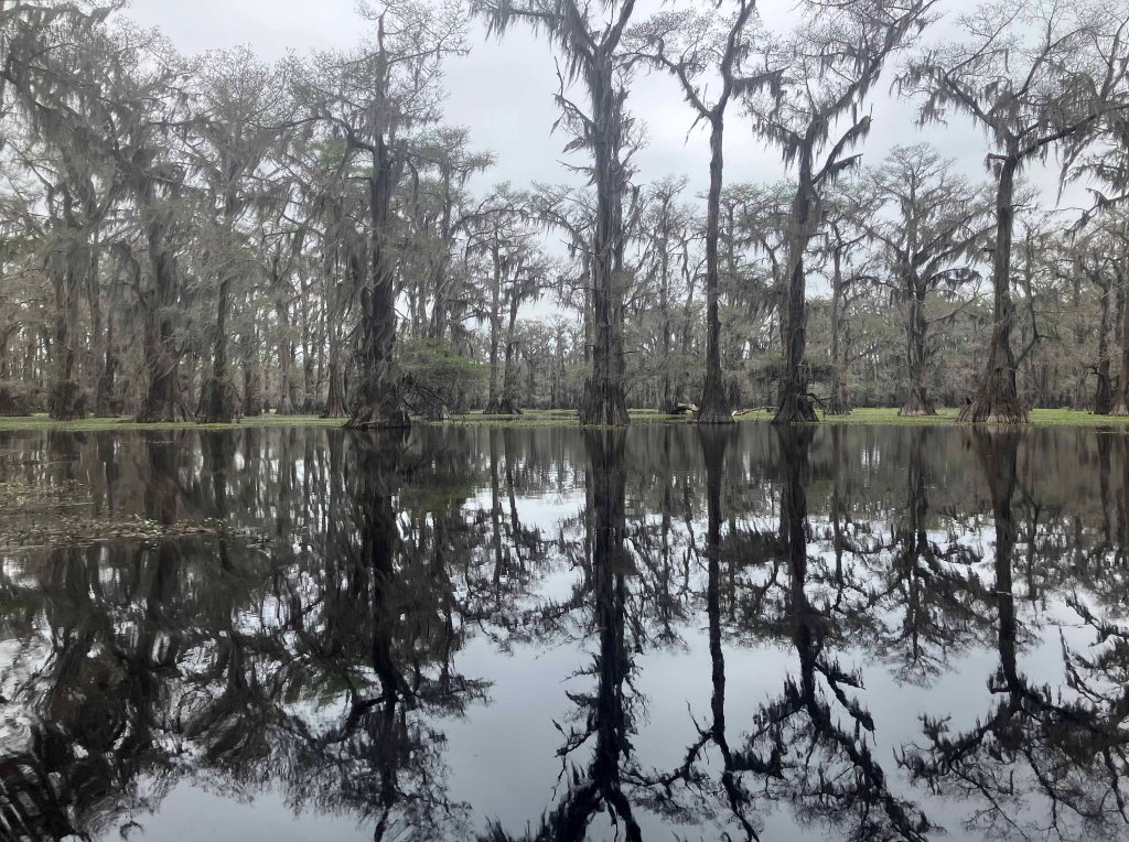 kayak scenery picture Caddo, Uncertain, 805 WMA Launch www.SawdustRiver.com