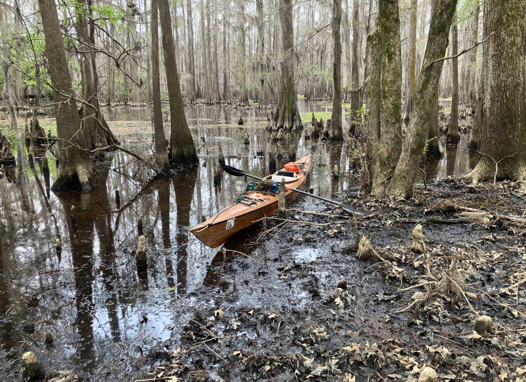kayak scenery picture Caddo, Uncertain, 805 WMA Launch www.SawdustRiver.com