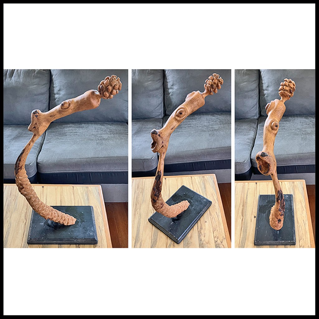 Googly-eyed wood sculpture cranes its neck and looks around in open-mouthed astonishment. A nut. www.SawdustRiver.com