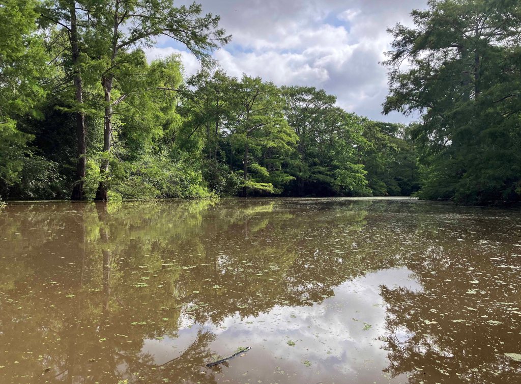 Wallace Lake, Cameron Park, Shreveport, LA Kayak paddle scenery picture