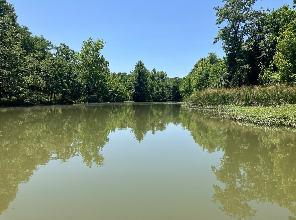 Sequoyah NWR, Oklahoma Kayak scenery picture www.SawdustRiver.com