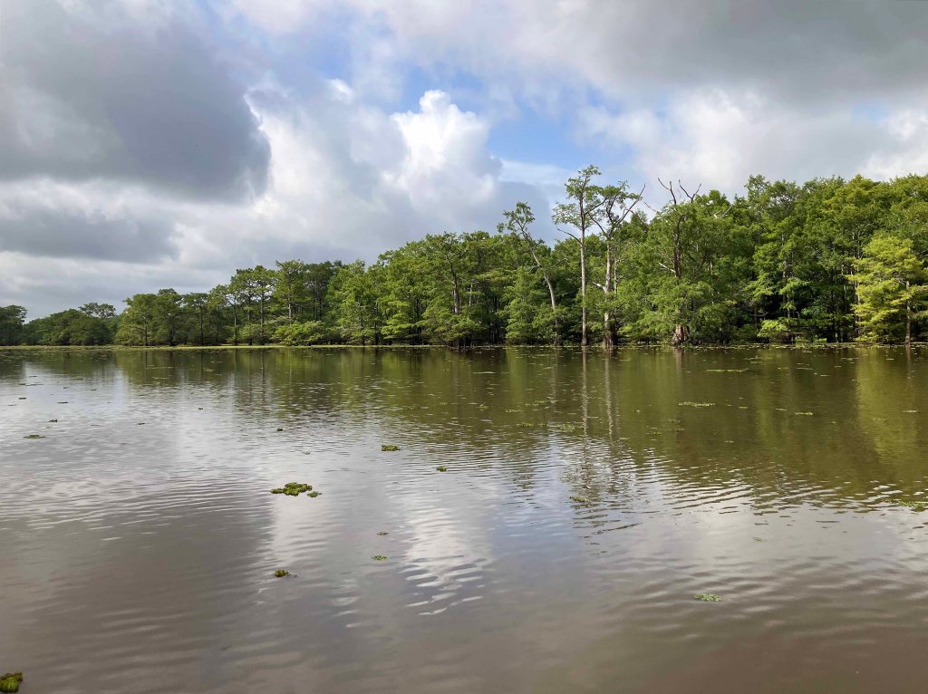 Wallace Lake, Cameron Park, Shreveport, LA Kayak paddle scenery picture