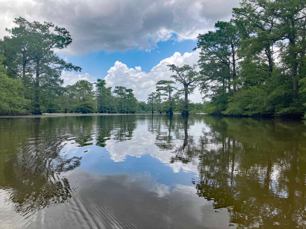 Wallace Lake, Cameron Park, Shreveport, LA Kayak paddle scenery picture www.SawdustRiver.com
