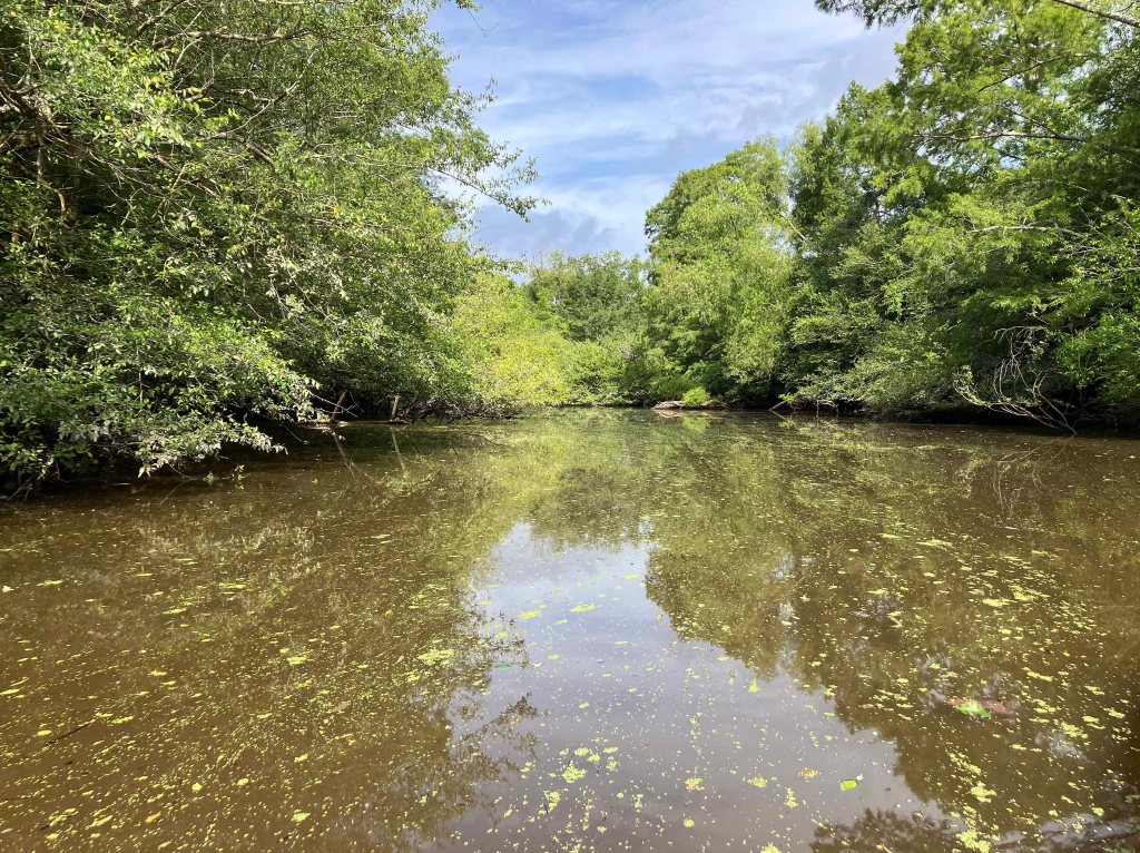 Wallace Lake, Cameron Park, Shreveport, LA Kayak paddle scenery picture www.SawdustRiver.com