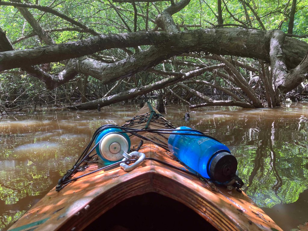 Wallace Lake, Cameron Park, Shreveport, LA Kayak paddle scenery picture www.SawdustRiver.com