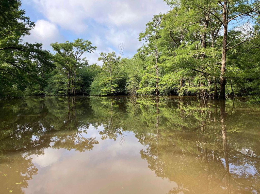 Wallace Lake, Cameron Park, Shreveport, LA Kayak paddle scenery picture