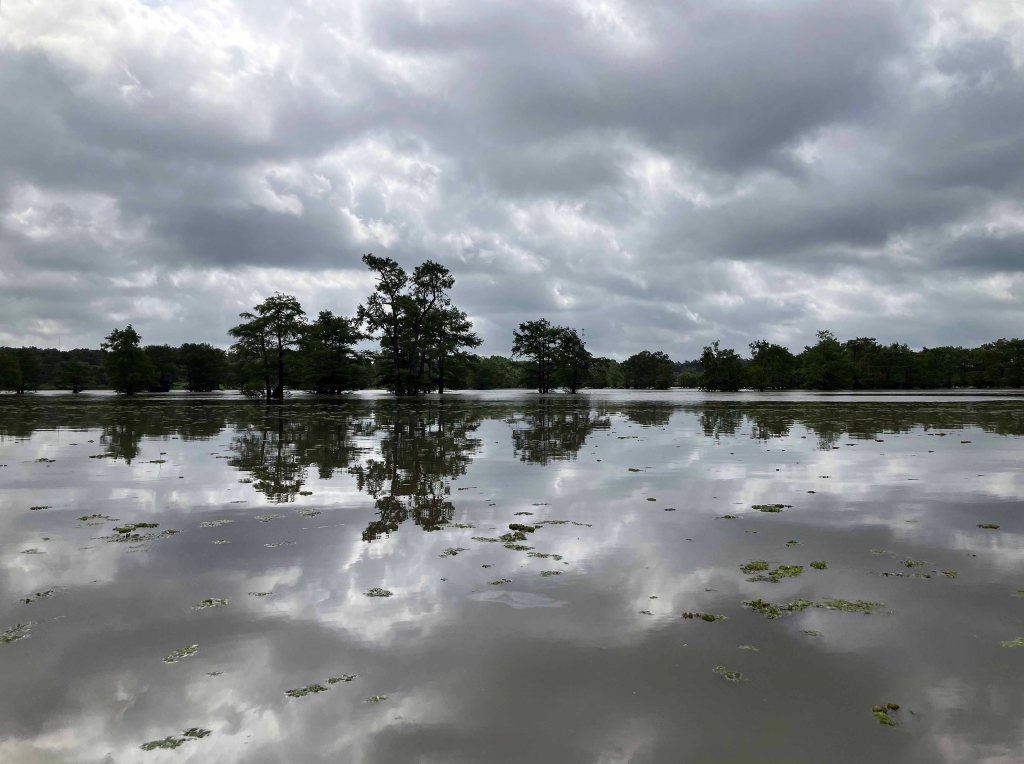 Wallace Lake, Cameron Park, Shreveport, LA Kayak paddle scenery picture