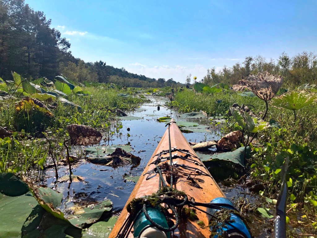 Mercer Bayou, Sulphur River WMA, Texarkana, Arkansas AR Kayak paddle scenery picture