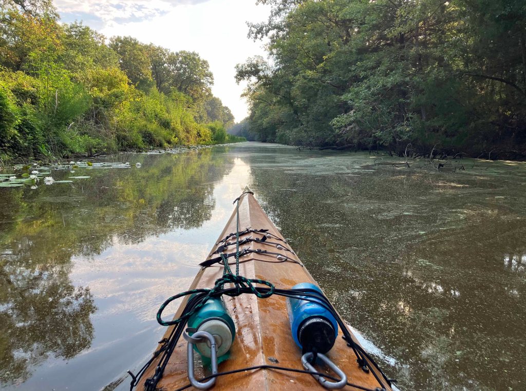 Mercer Bayou, Sulphur River WMA, Texarkana, Arkansas AR Kayak paddle scenery picture