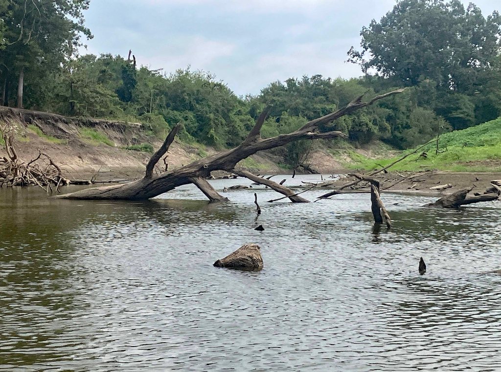 Kayak paddle scenery picture Sulphur River, Texarkana Arkansas, Smith Park Boat Ramp