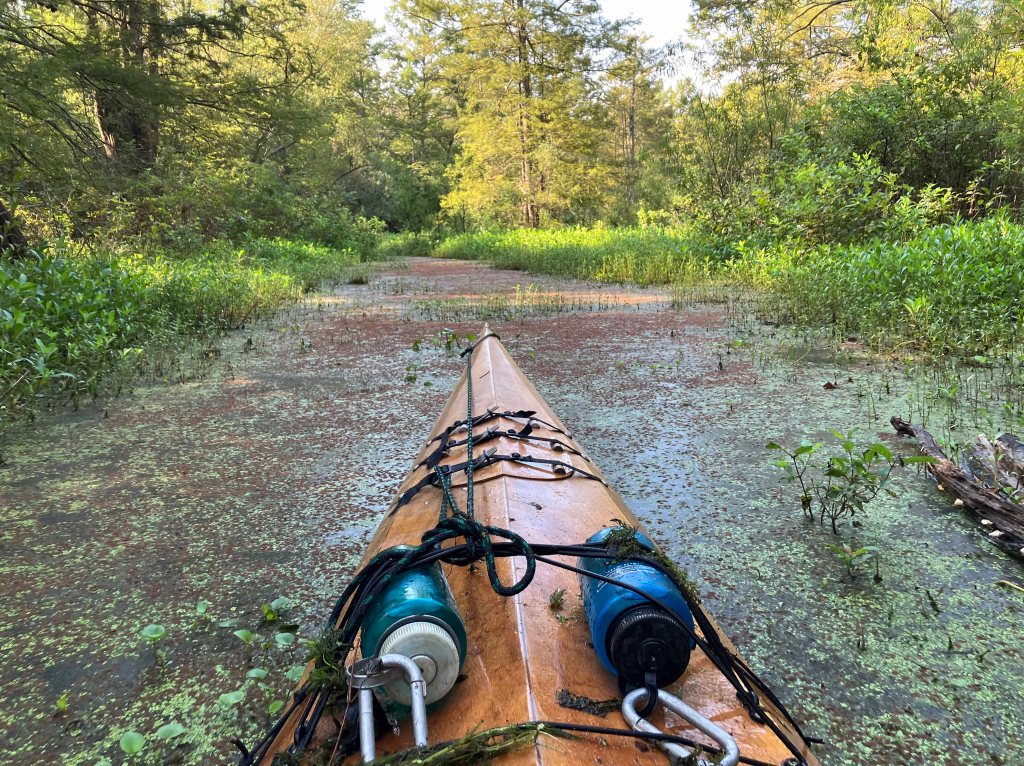Mercer Bayou, Sulphur River WMA, Texarkana, Arkansas AR Kayak paddle scenery picture