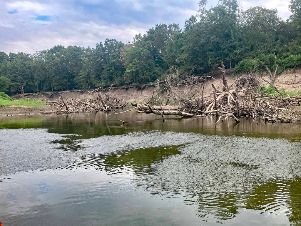 Kayak paddle scenery picture Sulphur River, Texarkana Arkansas, Smith Park Boat Ramp