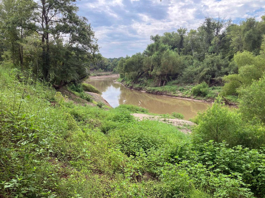 Kayak paddle scenery picture, Sulphur River WMA, Road 211 Launch, Texarkana Arkansas