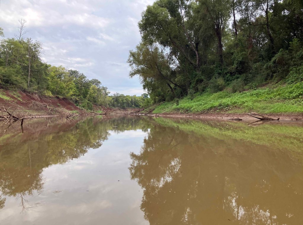Kayak paddle scenery picture, Sulphur River WMA, Road 211 Launch, Texarkana Arkansas